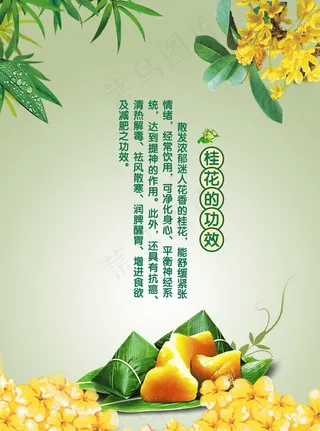 桂花粽海报图片