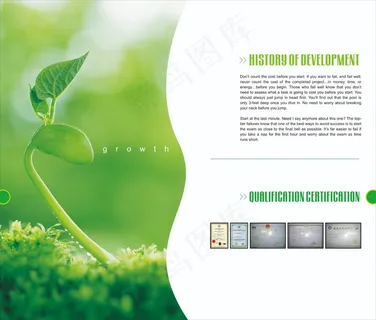 整套蔬菜水果天然产品画册宣传册