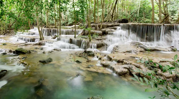 美丽树林风景摄影