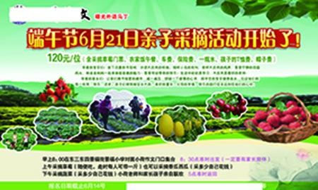 学校采摘园展板(5669X3402(DPI:72))psd模版下载