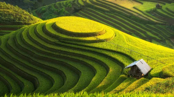 梯田 梯田
