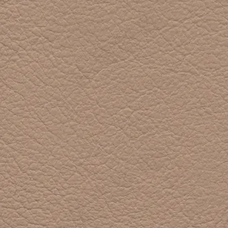浅棕色纹理皮质贴图