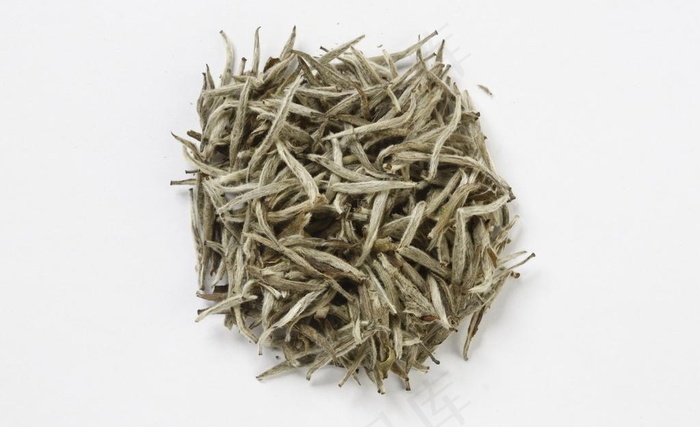 白毫银针 茶叶 名茶 中国名茶图片