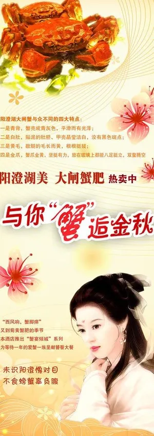 大闸蟹易拉宝图片