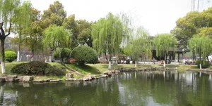宁波月湖公园