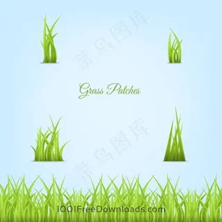 草的补丁