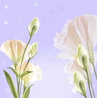 动漫花朵图片 动漫花朵图片