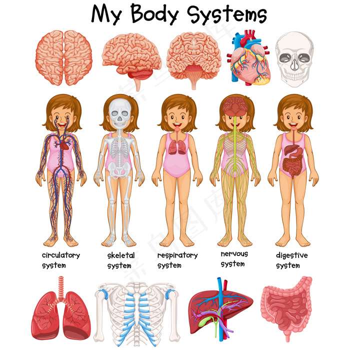 卡通人物扁平化可爱各种职业矢量素材