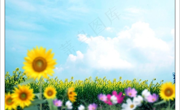 2010年婚纱模板图片