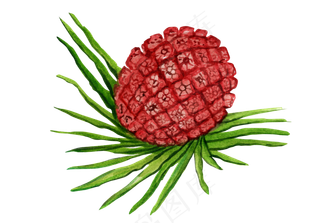 手绘水彩水果坚果零食PNG素材