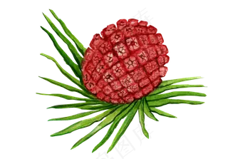 手绘水彩水果坚果零食PNG素材