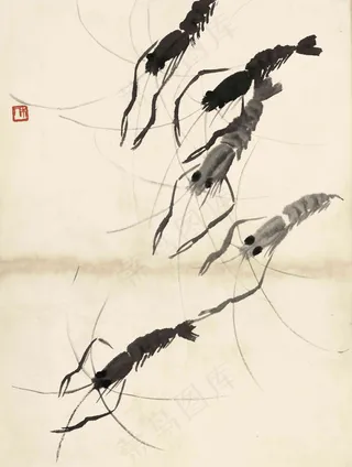 齐白石 虾图片