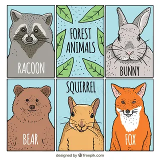 矢量可爱卡通狐狸