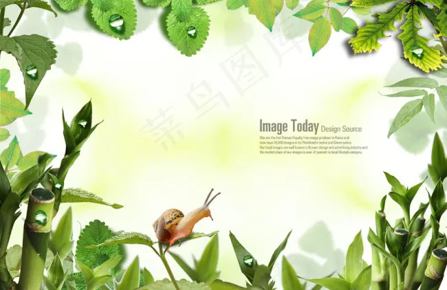 高清PSD分层素材快乐的蜗牛(4000X2600(DPI:300))psd模版下载