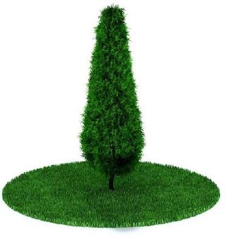 植物国外精品装饰素材免费下载室内装...