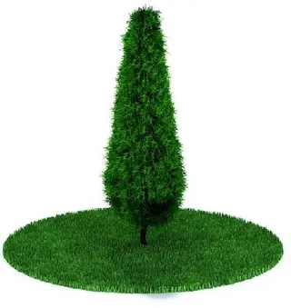 植物国外精品装饰素材免费下载室内装...