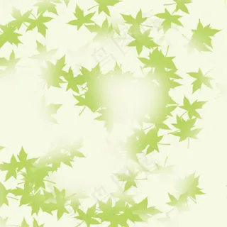 最爱枫叶绿 最爱枫叶绿