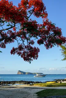 毛里求斯风光图片