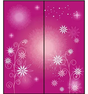 花纹花朵 移门 (2)