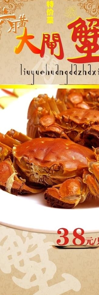 六月黄特价大闸蟹图片cdr矢量模版下载