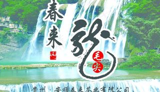 春来茶主题图片