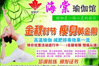 海堂瑜伽馆宣传单图片
