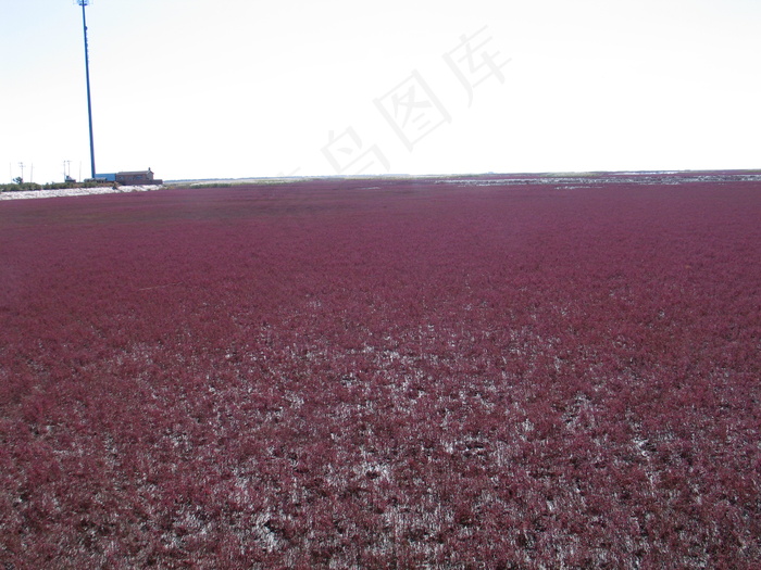 10月红海滩美丽迷人图片