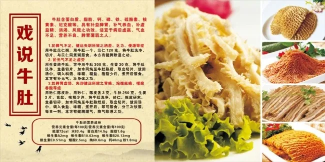 牛肚简介cdr矢量模版下载