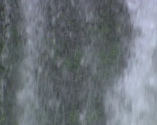 视频背景素材下载