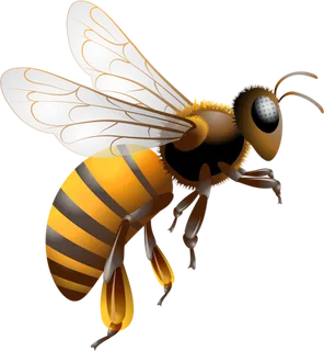 蜜蜂免抠元素