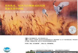 房地产展板图片