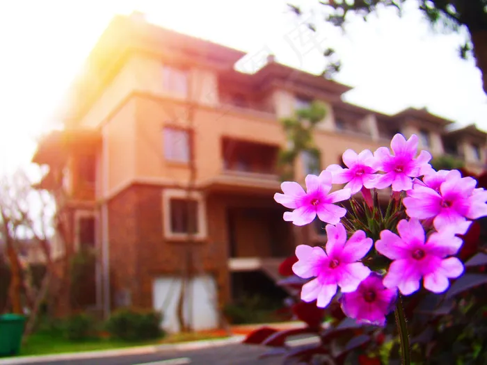 阳光建筑摄影图片