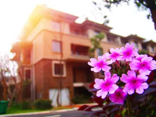 阳光建筑摄影图片