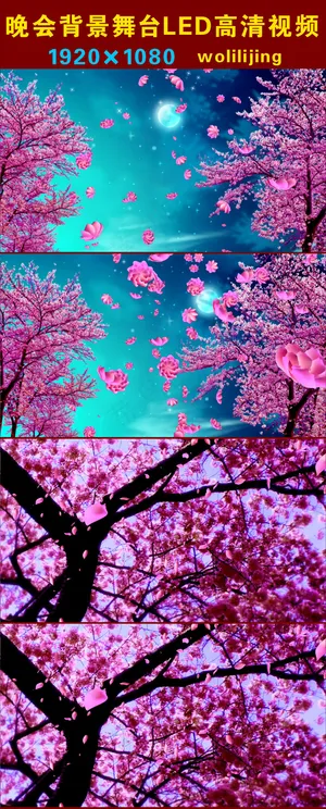 桃花满天飞晚会背景LED高清视频