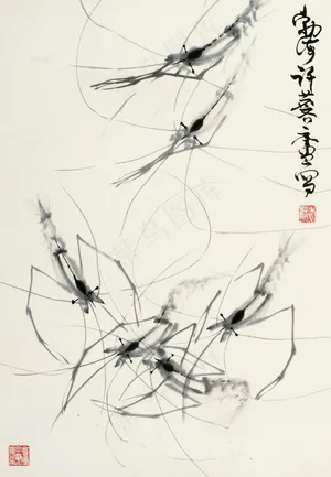 虾趣图片