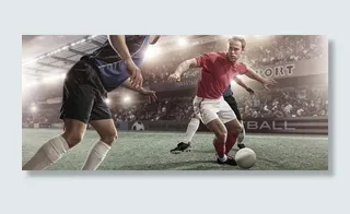 世界杯 足球 绿茵图片