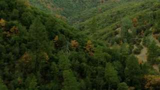 席卷绿色山谷山坡4K超高清 视频免...