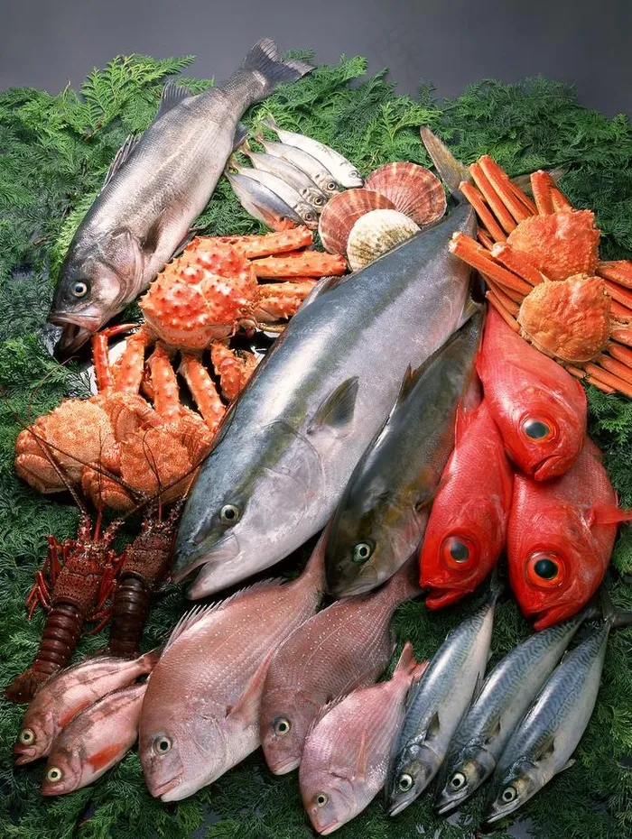 海鲜 海鱼 鱼类 海鲜食材图片