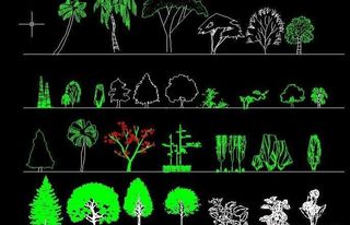 园林立面植物图例