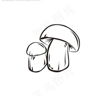 牛肝菌矢量素材图片