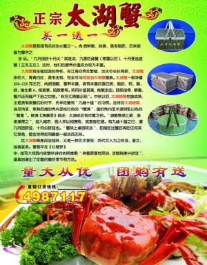 大闸蟹宣传图片