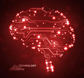 大脑思维电路图图片