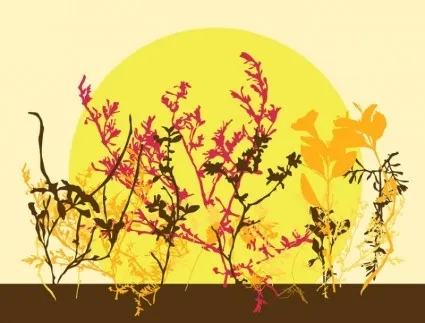 秋花eps,ai矢量模版下载