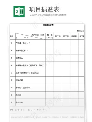 项目损益表格