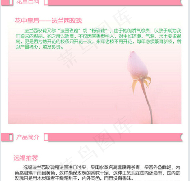 法兰西玫瑰美容养颜化妆品淘宝首页模...