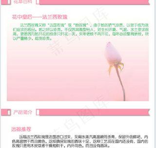 法兰西玫瑰美容养颜化妆品淘宝首页模...