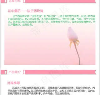 法兰西玫瑰美容养颜化妆品淘宝首页模...