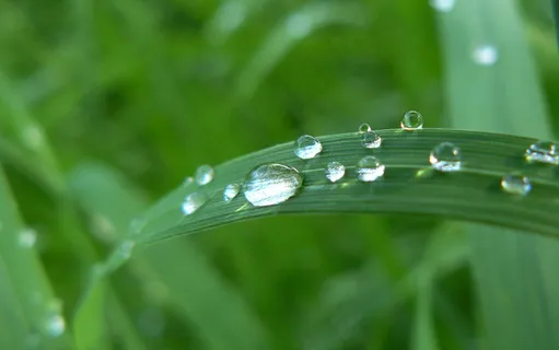 高清电脑桌面背景壁纸 高清电脑桌面背景壁纸