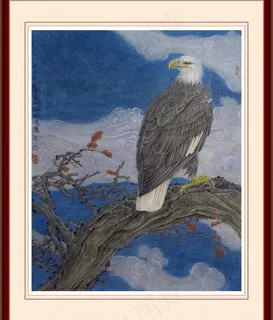老鹰 工笔画图片
