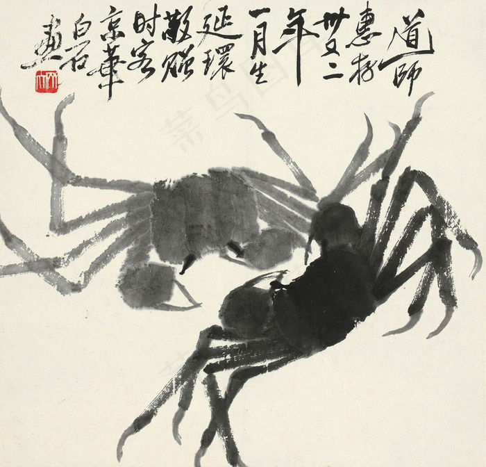 螃蟹图片
